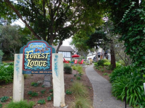 Forest Lodge